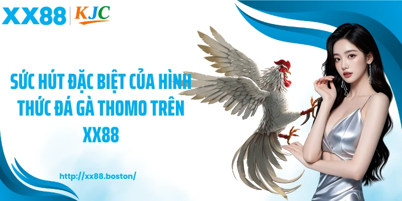Sức hút đặc biệt của hình thức đá gà thomo trên XX88